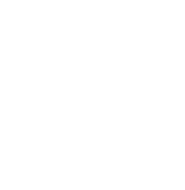 Ivana Vitnerová